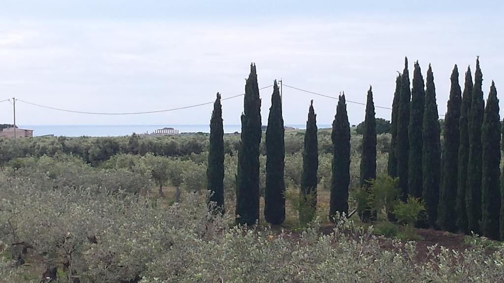 Maison d'hôtes Agrisicilia  à Marinella di Selinunte Extérieur photo