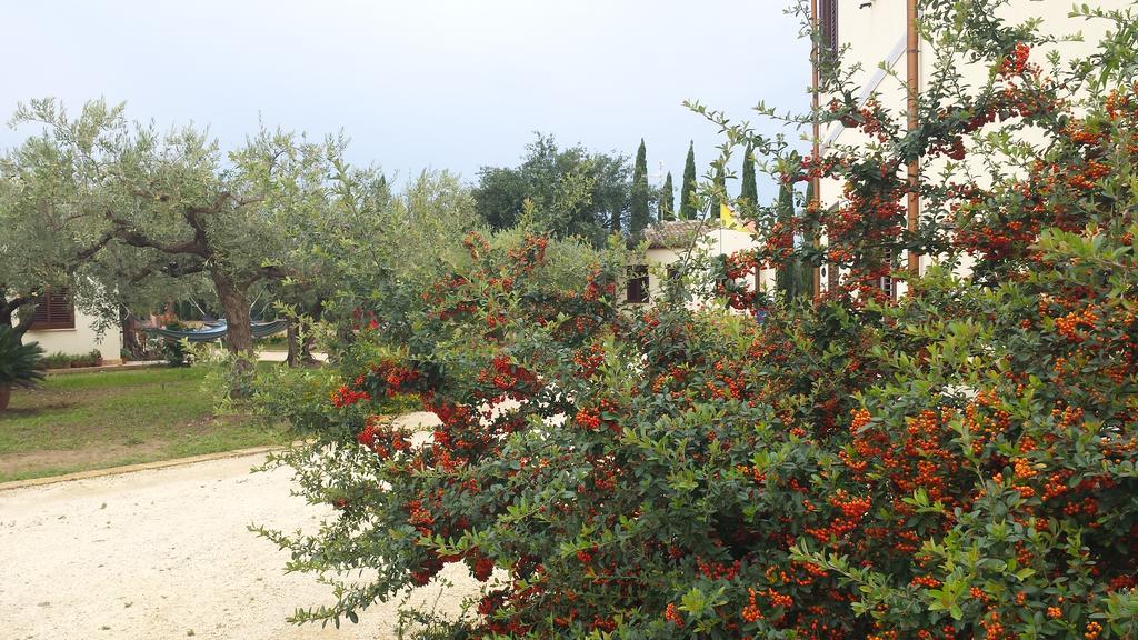 Maison d'hôtes Agrisicilia  à Marinella di Selinunte Extérieur photo
